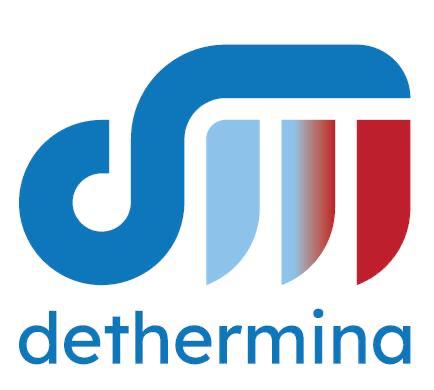 DETHERMINA S.P.A.